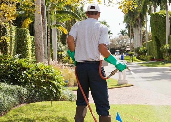 About West Wendover NV Pest Control